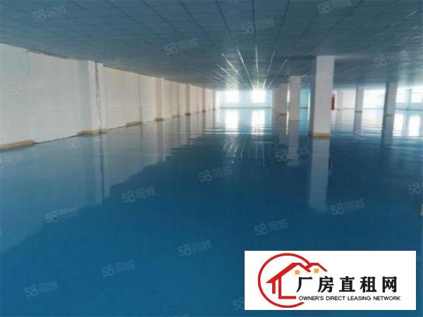  大朗石厦标准厂房带地坪漆1500方，原房东无公摊，价格低