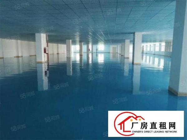  大朗石厦标准厂房带地坪漆1500方，原房东无公摊，价格低