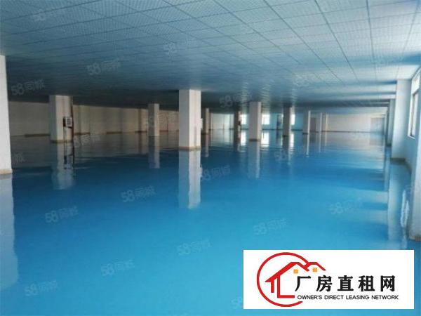  大朗石厦标准厂房带地坪漆1500方，原房东无公摊，价格低