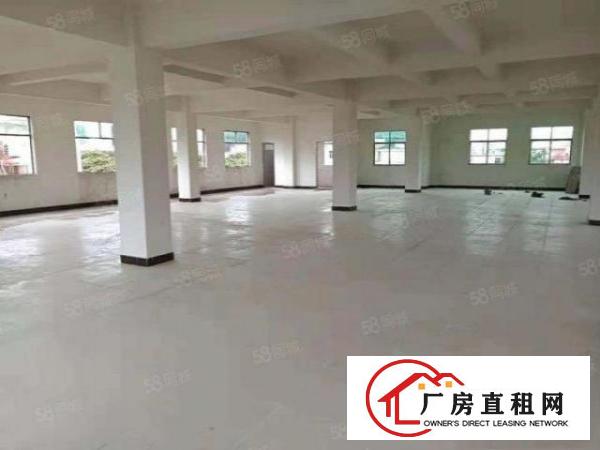  位置很靓大朗新马莲新出二楼280平方厂房带办公室装修