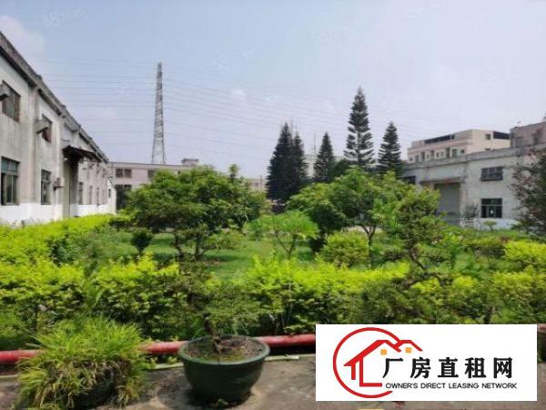  原房东）大朗新出独院单一层厂房4000平，带现成行车，可分租