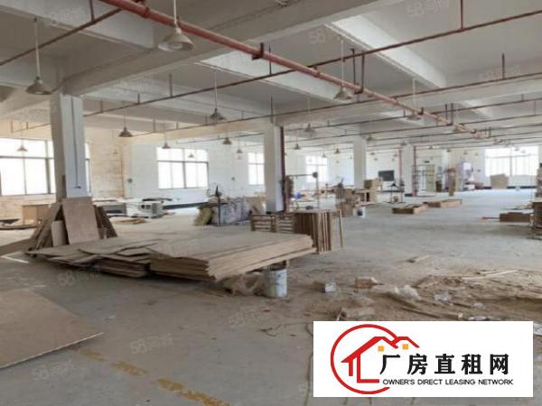 本人在大朗蔡边有一楼800平方自家厂房出租报价12元