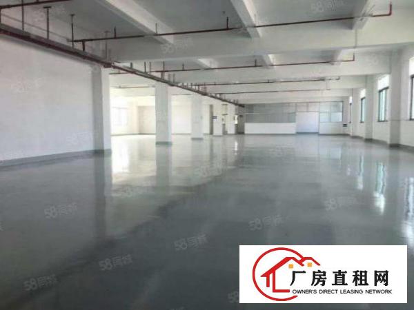  大朗新马莲标准独院厂房分租标准一楼楼上1000带装修工业用地