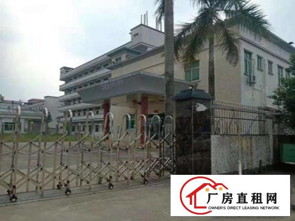 大朗新马莲标准独院厂房分租标准一楼楼上1000带装修工业用地