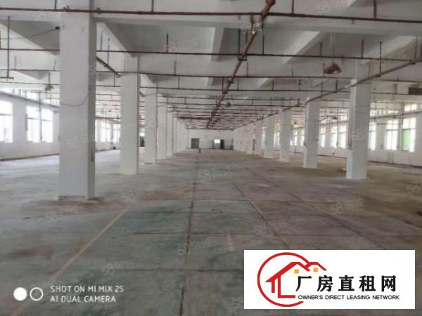  大朗原房东厂房水电齐全可过户证件齐全搬设备即可生产