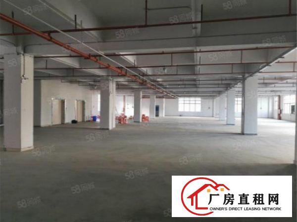  大朗原房东楼上标准厂房2200方，带办公室消防喷淋
