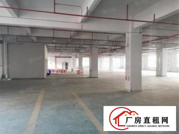  大朗原房东楼上标准厂房2200方，带办公室消防喷淋