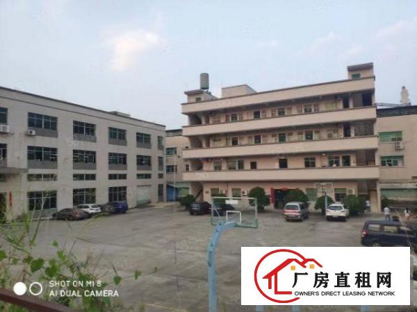  大朗镇洋乌独门独院厂房诚意招租非常适合五金注塑行业工业用地