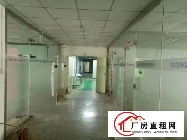  大朗新马莲工业区新出独院单一层厂房总面积2700平，现成装修