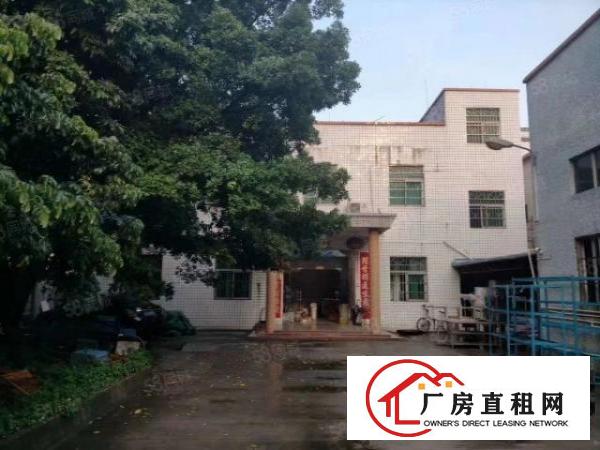  大朗新马莲工业区新出独院单一层厂房总面积2700平，现成装修