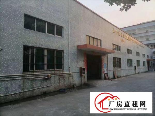  大朗新马莲工业区新出独院单一层厂房总面积2700平，现成装修