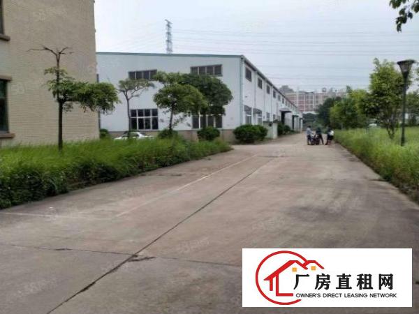  东莞大朗镇富民工业区8800钢构出租