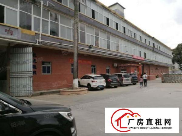  降价出租大朗新马莲新空出厂房一楼500方，带装修，水电齐全