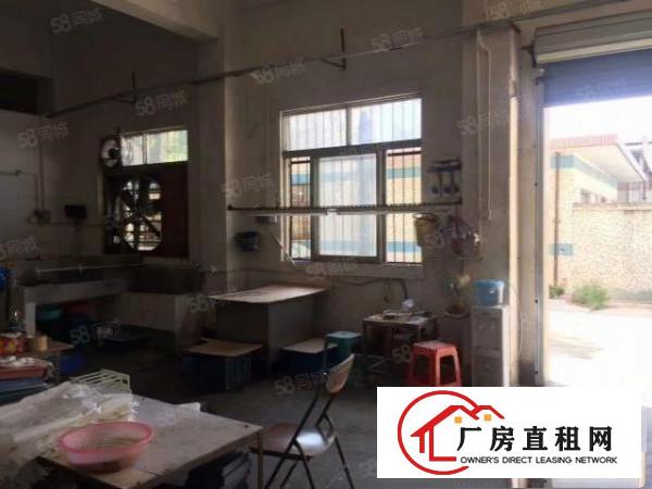 降价出租大朗新马莲新空出厂房一楼500方，带装修，水电齐全