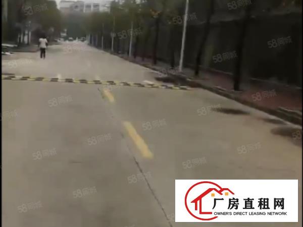  降价出租大朗新马莲新空出厂房一楼500方，带装修，水电齐全