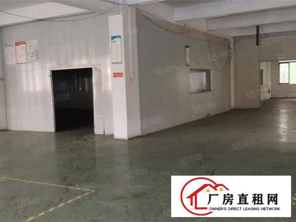  大朗佛新工业区一楼1000，高度7米带办公室，水电齐宿舍按需