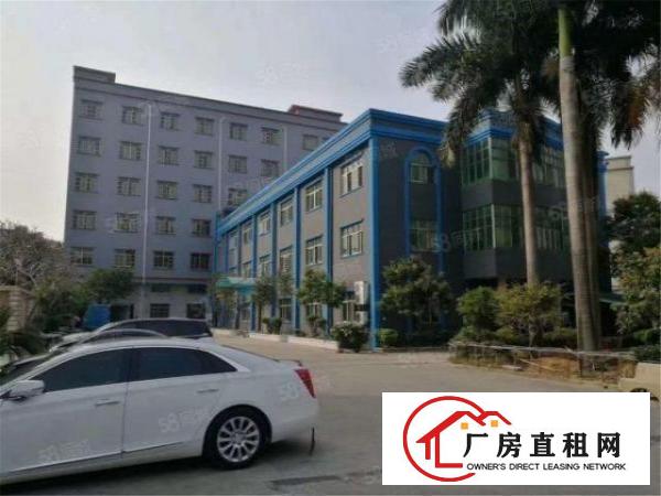 只租12元大朗洋乌村标准厂房3楼1300方，带地坪漆办公室
