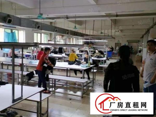  大朗惊现11元独院标准厂房出租，总面积6000平，真实有效。