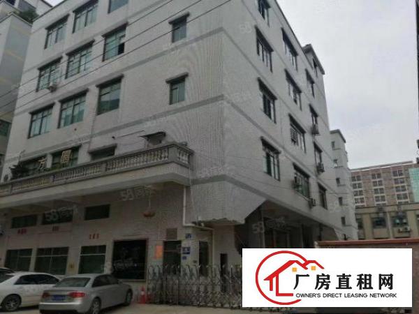  大朗惊现11元独院标准厂房出租，总面积6000平，真实有效。
