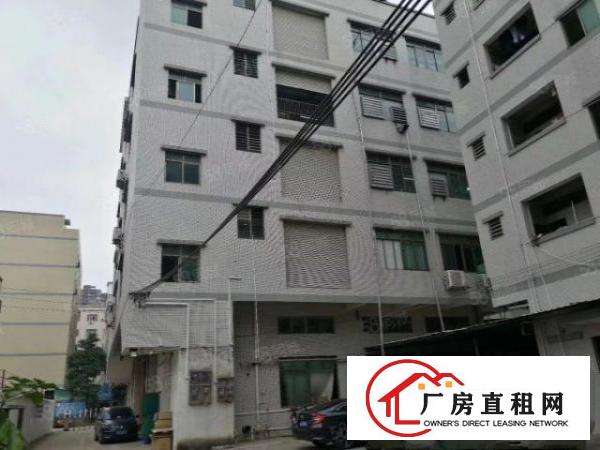  大朗惊现11元独院标准厂房出租，总面积6000平，真实有效。