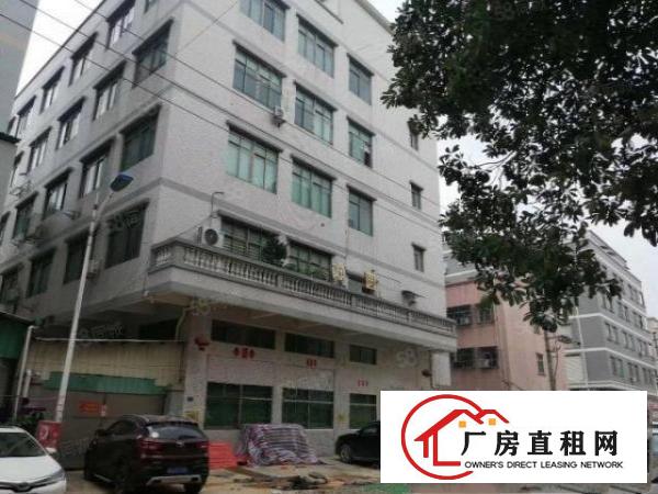  大朗惊现11元独院标准厂房出租，总面积6000平，真实有效。