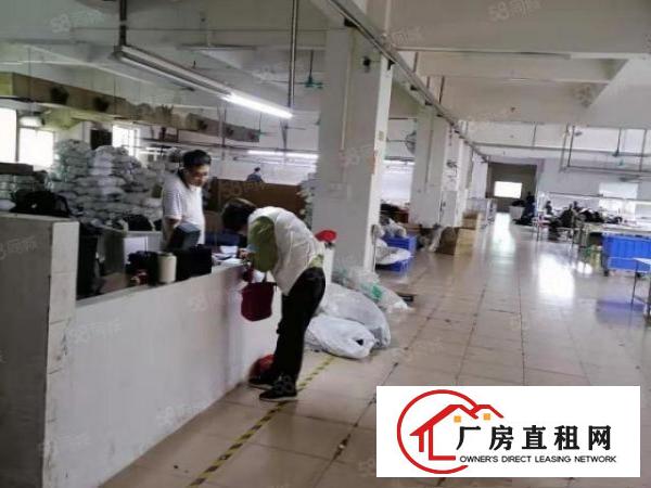 大朗惊现11元独院标准厂房出租，总面积6000平，真实有效。
