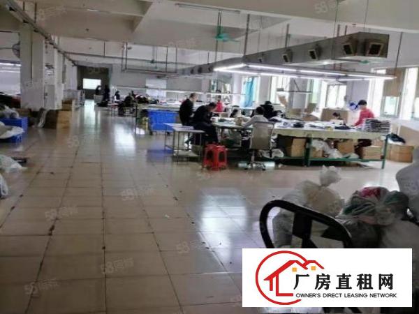  大朗惊现11元独院标准厂房出租，总面积6000平，真实有效。