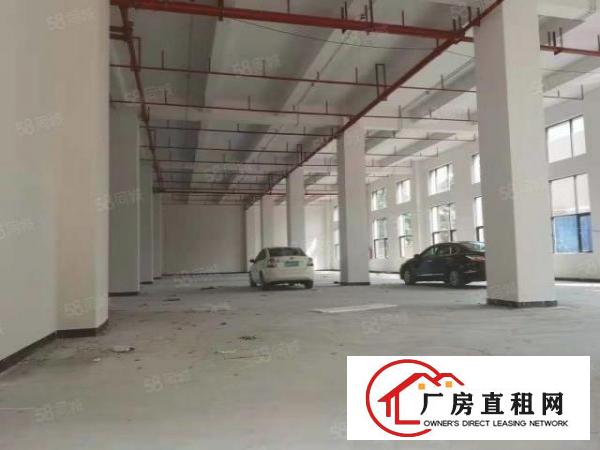  东莞大朗富民工业园一楼1900平方厂房原房东直租可办环评