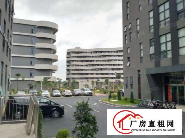  东莞大朗富民工业园一楼1900平方厂房原房东直租可办环评