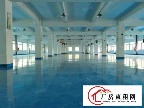  村委直租大朗镇新马莲科技园新空现成装修独院厂房5000平出租