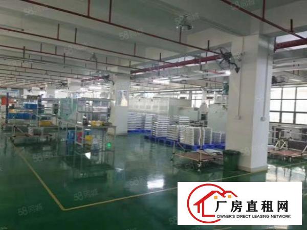  大朗原房东独门独院厂房分租水电齐全现成精装修办公室可办环评