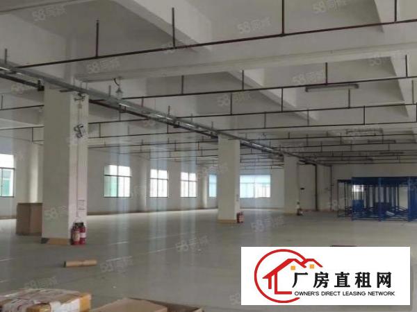 大朗原房东独门独院厂房分租水电齐全现成精装修办公室可办环评