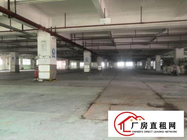  大小可分租）大朗新出标准工业园厂房8000平方，带消防喷淋