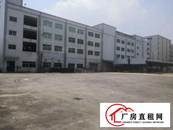  大小可分租）大朗新出标准工业园厂房8000平方，带消防喷淋