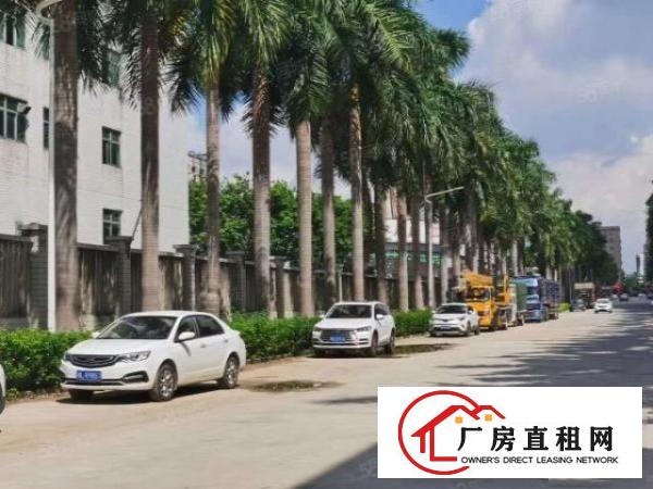  大小可分租）大朗新出标准工业园厂房8000平方，带消防喷淋