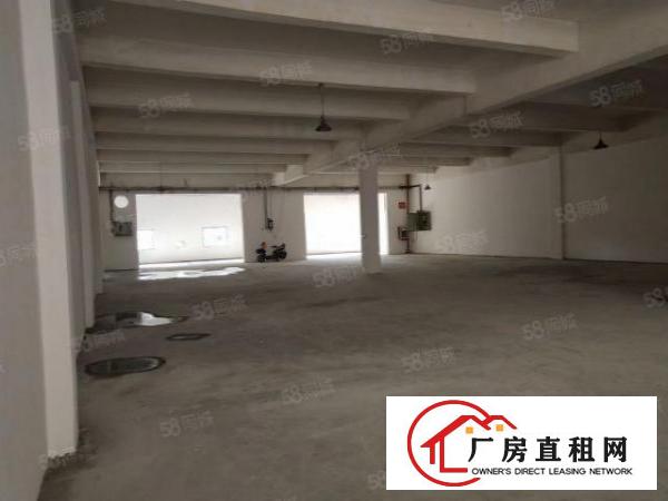  东莞市大朗镇新马莲村成熟工业区分租5米高一搂800平方