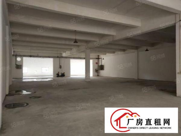  东莞市大朗镇新马莲村成熟工业区分租5米高一搂800平方