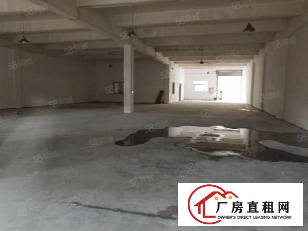  东莞市大朗镇新马莲村成熟工业区分租5米高一搂800平方