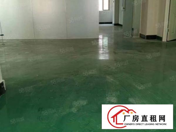  大朗大井头700平10块全包实际面积原房东工业用地精装