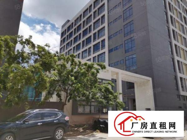  全新厂房独立综合楼消防喷淋齐全首层高7米带牛角