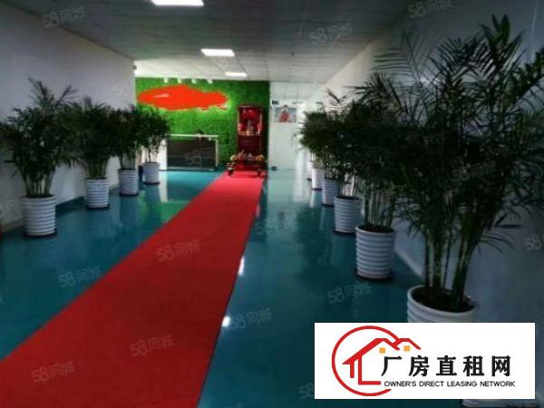  富民工业园新出独院钢构厂房8500平，滴水8米，易招工