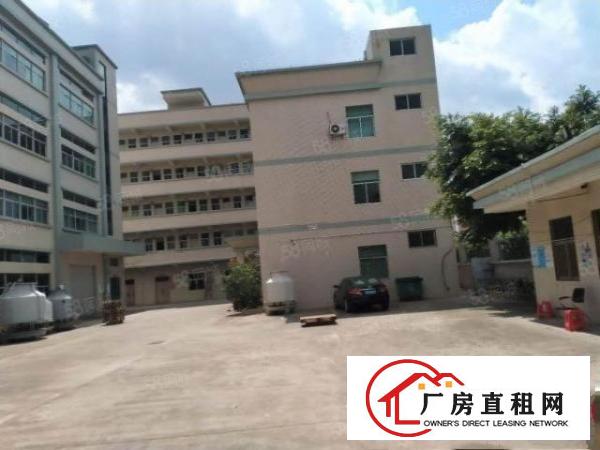  大朗原房东独院红本厂房5200平方出租可办环评可分租无公摊