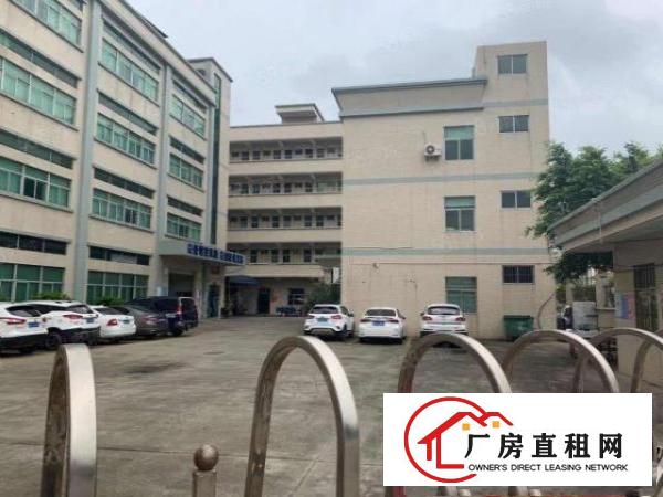  大朗原房东独院红本厂房5200平方出租可办环评可分租无公摊