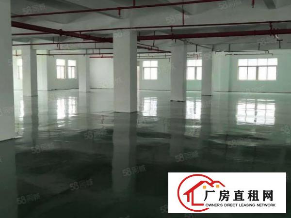  大朗原房东独院红本厂房5200平方出租可办环评可分租无公摊