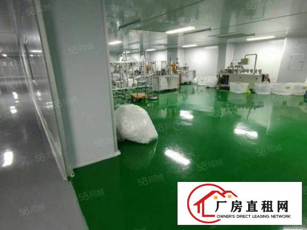  大朗靠松山湖一二楼无尘车间厂房出租，每层1600平，可分租