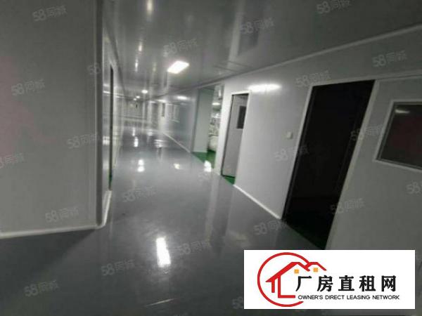  大朗靠松山湖一二楼无尘车间厂房出租，每层1600平，可分租