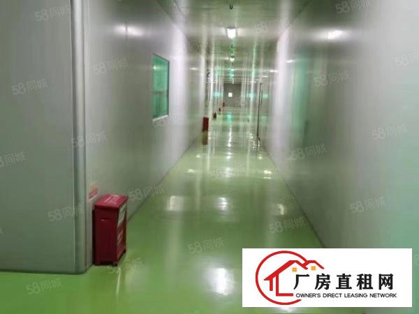  大朗靠松山湖一二楼无尘车间厂房出租，每层1600平，可分租