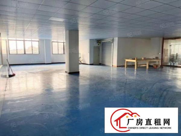  大朗镇黄草朗新出标准厂房一楼有现成地坪漆830平方米