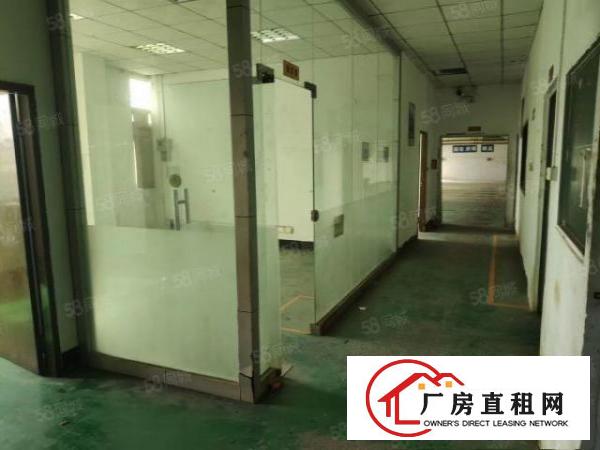  大朗镇黄草朗新出标准厂房一楼有现成地坪漆830平方米