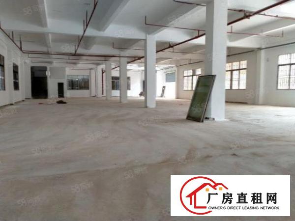  大朗独院厂房5000平方出租可办环评大小分租